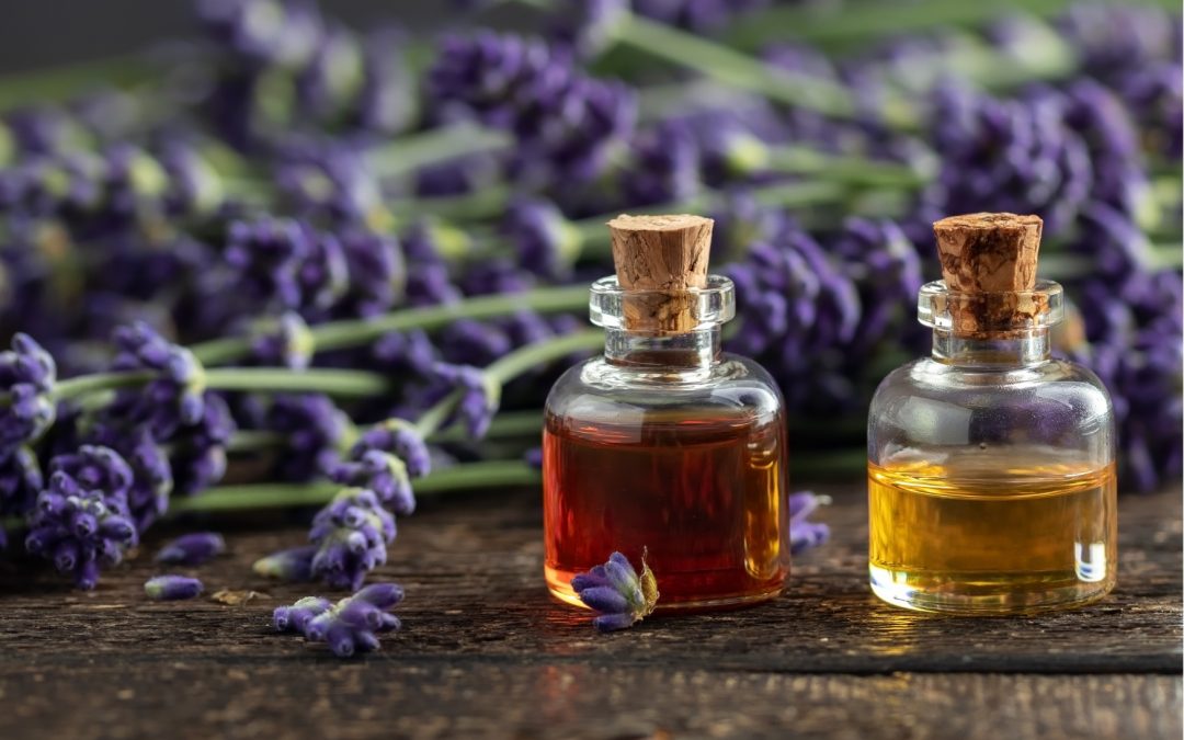 TREASURES OF EUROPEAN NATURE – THE WORLD OF SCENTS