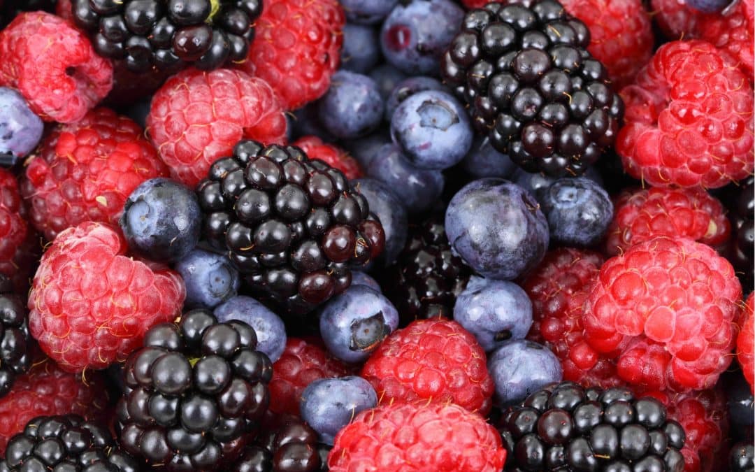 TREASURES OF EUROPEAN NATURE – THE WORLD OF BERRIES