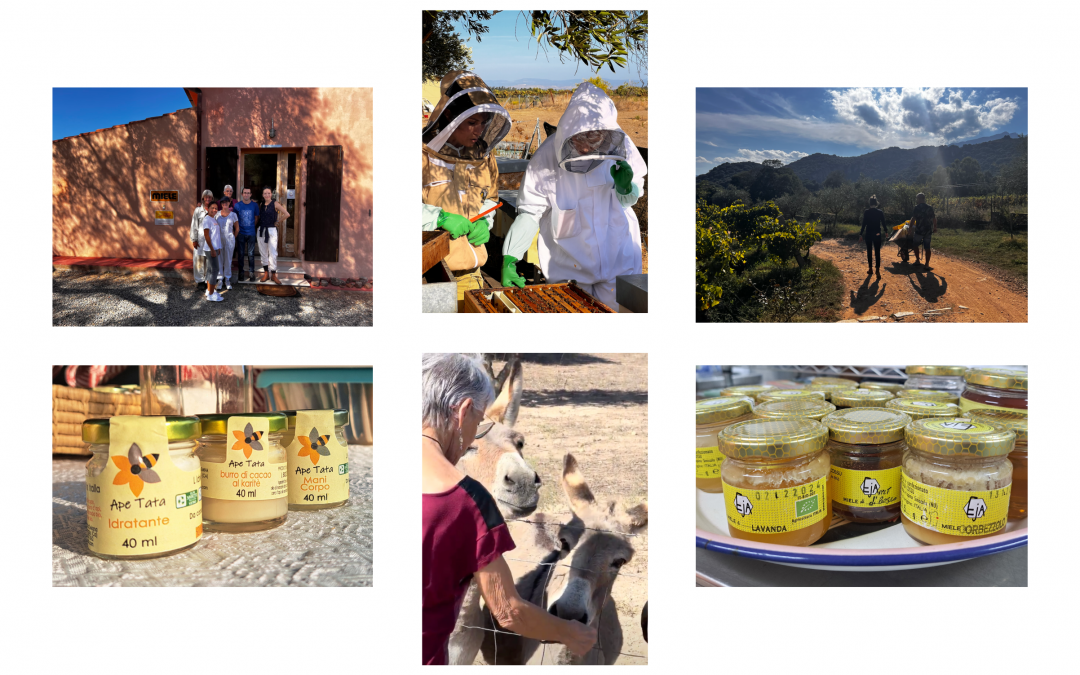 Visiting Honey Eco Routes In Sardinia, Italy
