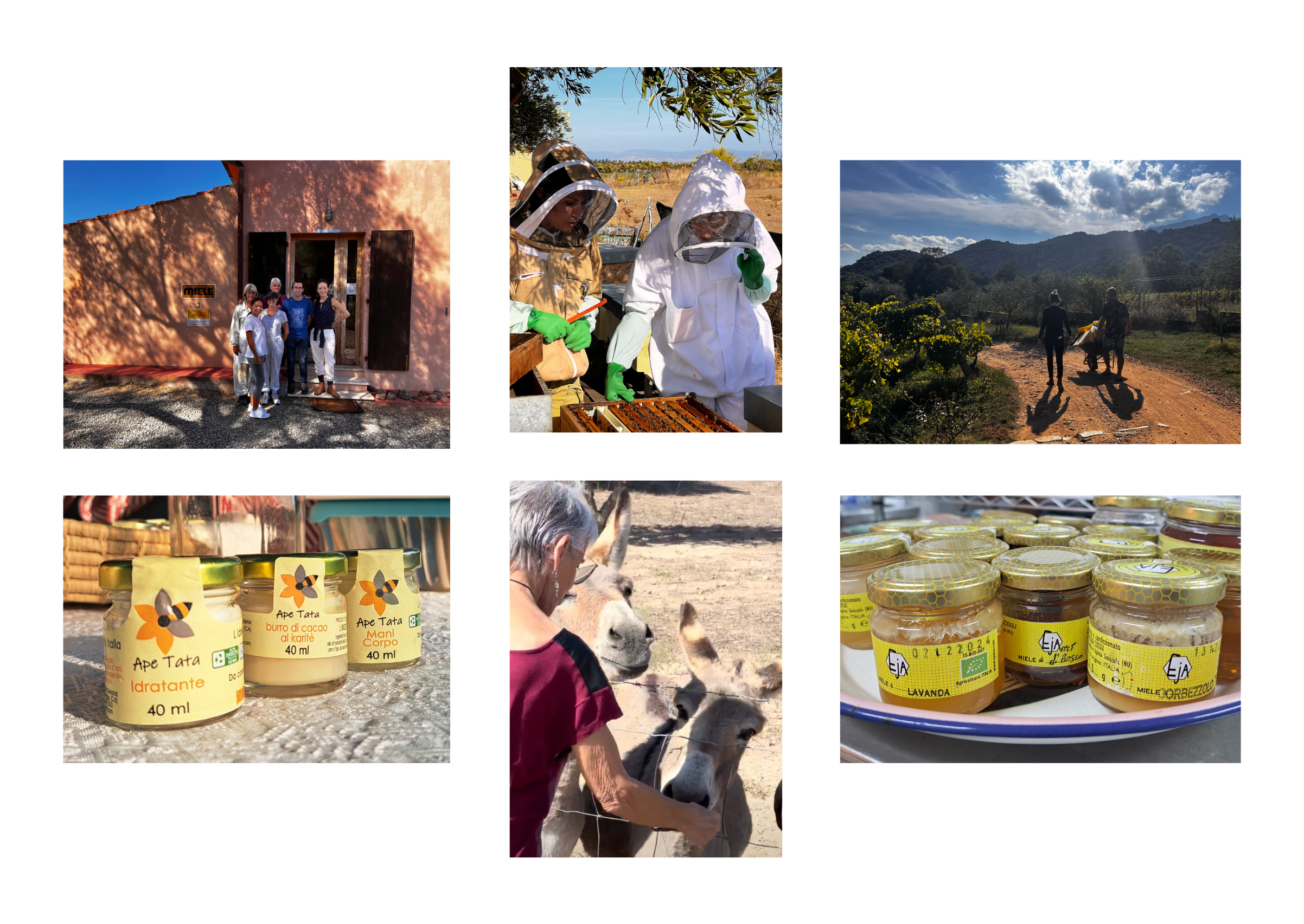 sardinian bee tourism