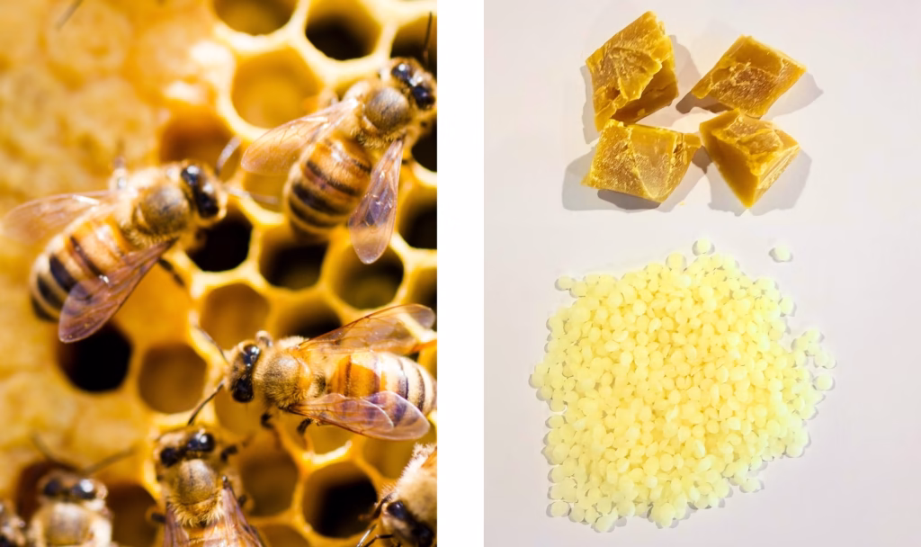 Sustainable Beeswax by Koster Keunen
