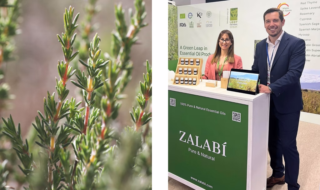 Red Thyme Essential Oil by Zalabí